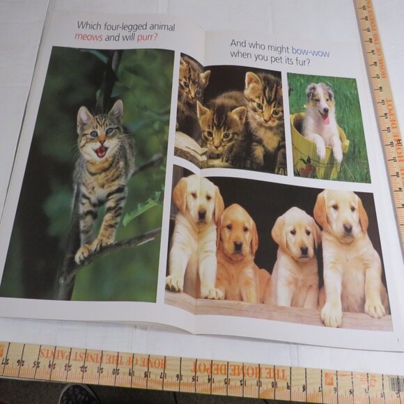 Sounds of the Farm BIG BOOK (almost 2 feet tall) with teacher pages Classroom - Picture 5 of 16